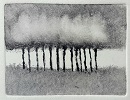 Monotype 20